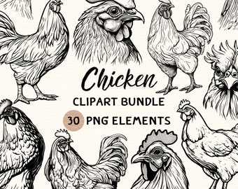 Chicken Clipart Bundle | Chicken Clipart | Chicken Png | Chicken Illustration | Chicken Coloring | Chicken Outline | Chicken Line Art