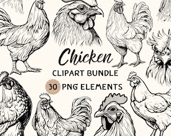 Chicken Clipart Bundle | Chicken Clipart | Chicken Png | Chicken Illustration | Chicken Coloring | Chicken Outline | Chicken Line Art