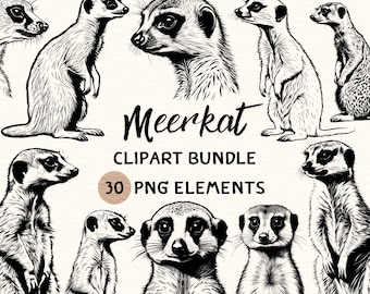 Meerkat Clipart Bundle | Meerkat Clipart | Meerkat Png | Meerkat Illustration | Meerkat Graphic | Meerkat Outline | Meerkat Line Art
