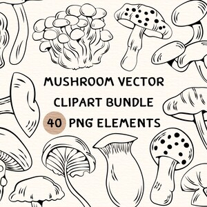 Mushroom Vector Clipart Bundle | Mushroom Vector Clipart | Mushroom Clipart | Mushroom Png Clipart | Mushroom Png | Mushroom Png Format