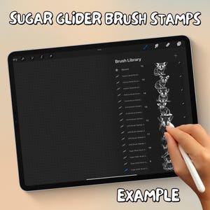 100 Sugar Glider Brush Stamps | Procreate Sugar Glider Brush Stamps | Sugar Glider Procreate Stamps | Procreate Sugar Glider Stamps