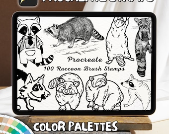 100 Raccoon Brush Stamps | Procreate Raccoon Brush Stamps | Raccoon Procreate Stamps | Procreate Raccoon Stamps | Procreate Raccoon