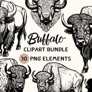 Zestaw clipartów Buffalo | Clipart Buffalo | Buffalo Png | Ilustracja Buffalo | Grafika Buffalo | Zarys Buffalo | Grafika liniowa Buffalo