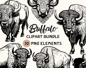 Buffalo Clipart Bundle | Buffalo Clipart | Buffalo Png | Buffalo Illustration | Buffalo Graphic | Buffalo Outline | Buffalo Line Art