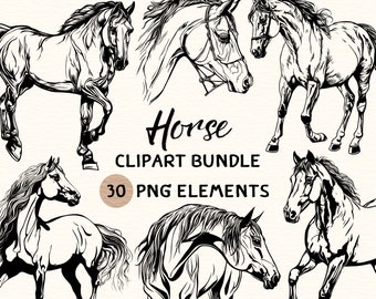 Horse Clipart Bundle | Horse Clipart | Horse Png | Horse Illustration | Horse Coloring | Horse Outline | Horse Line Art | 300 DPI | Digital