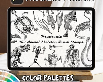 100 Animal Skeleton Brush Stamps | Procreate Animal Skeleton Brush Stamps | Animal Skeleton Procreate Stamps | Procreate Animal Skeleton