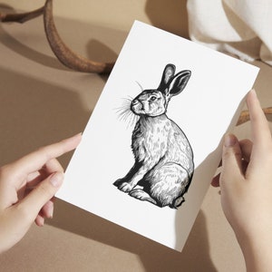May include: A black and white line drawing of a rabbit sitting on a white background.