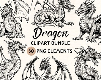 Dragon Clipart Bundle | Dragon Clipart | Dragon Png | Dragon Illustration | Dragon Coloring | Dragon Outline | Dragon Line Art | 300 DPI