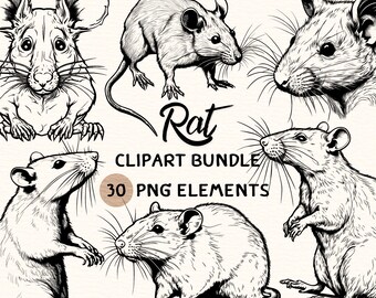 Rat Clipart Bundle | Rat Clipart | Rat Png | Rat Illustration | Rat Graphic | Rat Outline | Rat Line Art | 300 DPI | Digital Prints