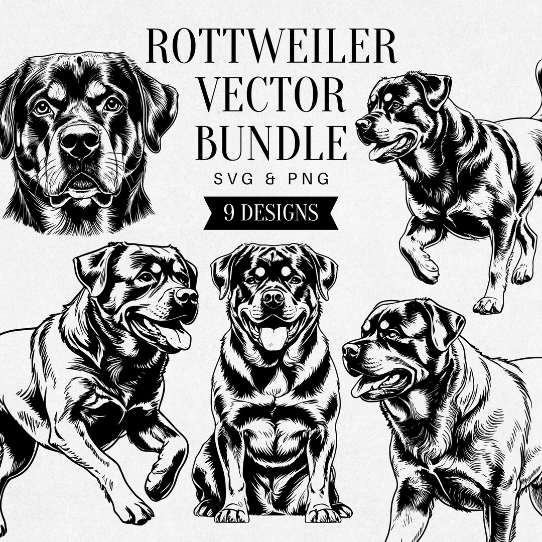 Vintage Rottweiler SVG, Realistic Dog PNG Clipart, Pet Illustration - Etsy