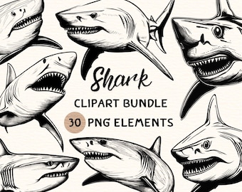 Shark Clipart Bundle | Shark Clipart | Shark Png | Shark Illustration | Shark Graphic | Shark Outline | Shark Line Art | 300 DPI | Digital