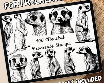 100 Meerkat Brush Stamps | Procreate Meerkat Brush Stamps | Meerkat Procreate Stamps | Procreate Meerkat Stamps | Procreate Meerkat