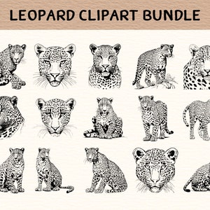 May include: A digital clipart bundle featuring 18 black and white illustrations of leopards in various poses. The leopards are drawn in a realistic style with detailed fur patterns.