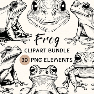 Frosch Clipart Bundle | Frosch Clipart | Frosch Png | Frosch Illustration | Frosch Grafik | Frosch Gliederung | Line Art Frosch | 300 DPI | Digitale Drucke