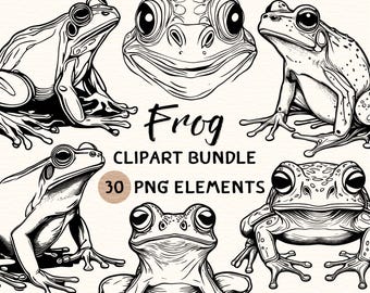 Frog Clipart Bundle | Frog Clipart | Frog Png | Frog Illustration | Frog Graphic | Frog Outline | Frog Line Art | 300 DPI | Digital Prints