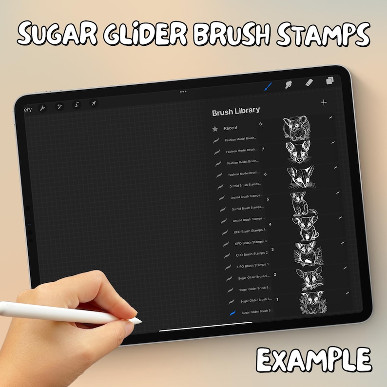 100 Sugar Glider Brush Stamps | Procreate Sugar Glider Brush Stamps | Sugar Glider Procreate Stamps | Procreate Sugar Glider Stamps