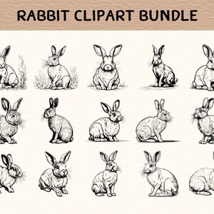 May include: A set of 18 black and white line drawings of rabbits in various poses. The rabbits are drawn in a realistic style and are perfect for use in craft projects, scrapbooking, or digital design.