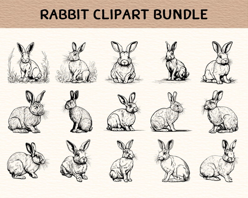 May include: A set of 18 black and white line drawings of rabbits in various poses. The rabbits are drawn in a realistic style and are perfect for use in craft projects, scrapbooking, or digital design.