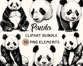Panda Clipart Bundle | Panda Clipart | Panda Png | Panda Illustration | Panda Graphic | Panda Outline | Panda Line Art | 300 DPI | Digital