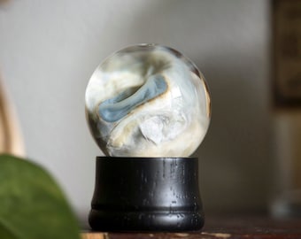 Real Sheep Eye Wet Specimen | eyeball ethical taxidermy | preserved animal in globe | weird creepy oddity & curiosities | anatomical biology