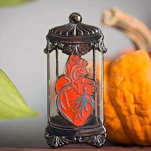 May include: A silver anatomical heart pin with a red heart inside a glass case. The heart has blue veins and is on a silver stand with a decorative top.