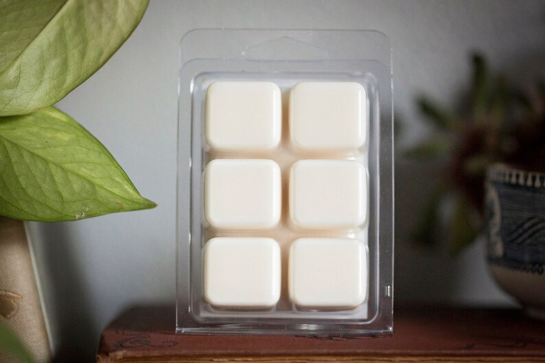 May include: A clear plastic pack containing six ivory-coloured wax melt cubes. The cubes are square and arranged in two rows of three. The background includes green foliage and a glimpse of a decorative pot.