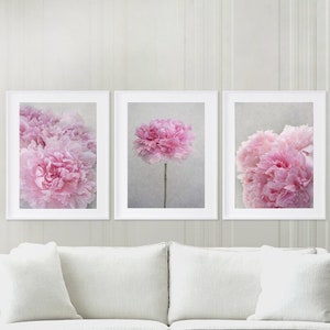 Paris Flower Photo - French Peony Print Collection, Gallery Wall, Blush Pink Floral Decor, Large Wall Art,Set of Three Prints, SALE 20%
