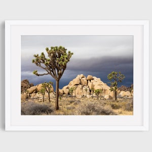 Joshua Tree Photo, California Desert Photography, Travel Photography, National Park, Landscape Print, Desert Wall Decor