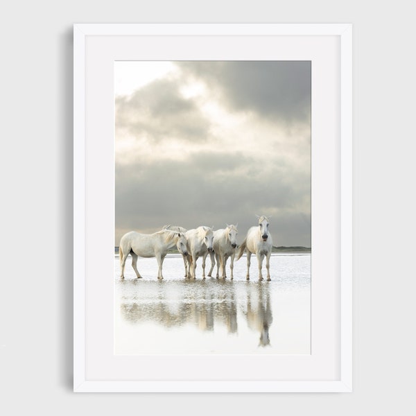 Wildpferd-Fotografie-Druck, Fotografie eines weißen Pferdes, Druck eines Camargue-Pferdes, weiße Pferde im Ozean, Fine Art-Pferdedruck, Naturfoto