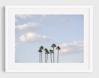 Palm Tree photo, California Wall Art, California photography, Los Angeles Photo, Beverly Hills, Coastal Wall Art