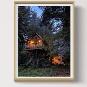 Redwood Forest Photography – Northern California Print – Woodland Trees, Fine Art Photography, Cabin Home Decor, Nature Wall Art Print