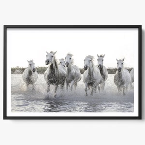 Impresión de caballo blanco, arte del caballo, caballos salvajes de Camarga, arte de pared horizontal, foto de caballo de bellas artes, caballos blancos corriendo en el agua, decoración de caballos