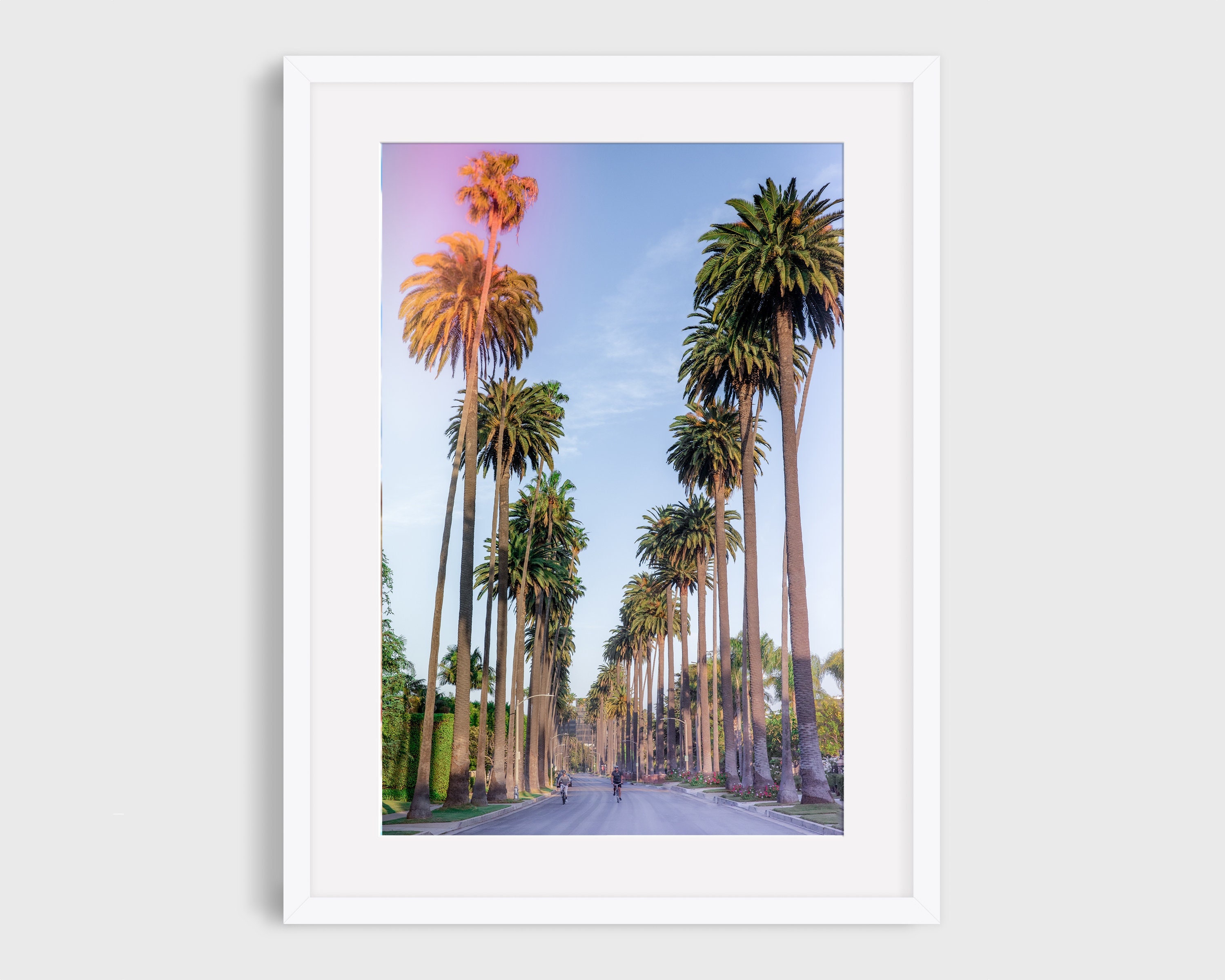 Beverly Hills Palm Trees - Bike Ride Color - Black and White Photo- Los ...