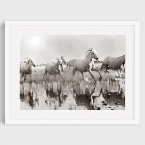 Impresión de fotografía de caballo salvaje, fotografía de caballo blanco, impresión de caballo de Camarga, caballos blancos en el océano, impresión de caballo de bellas artes, foto de la naturaleza