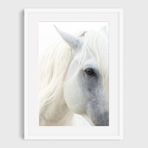 White Horse Print, Wild Horse Photography Print, Camargue Horse Print, White Horse, Fine Art Horse Print, Dressage Horse, Nature Photo