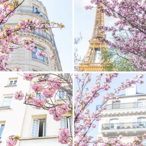 Paris Gallery Wall, Paris Photography, SALE, Paris Cherry Blossoms, Travel Photography, Paris Fine Art Photography Collection, Eiffel Tower