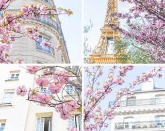 Muro de la Galería de París, Fotografía de París, VENTA, Flores de cerezo de París, Fotografía de viajes, Colección de fotografía de bellas artes de París, Torre Eiffel