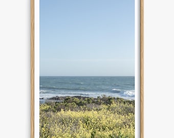 Cambria Fotografie - Wildblumen Fotografie - Moonstone Beach - Küste Kaliforniens, Fine Art Fotografie, Strand, Home Decor, Pazifik