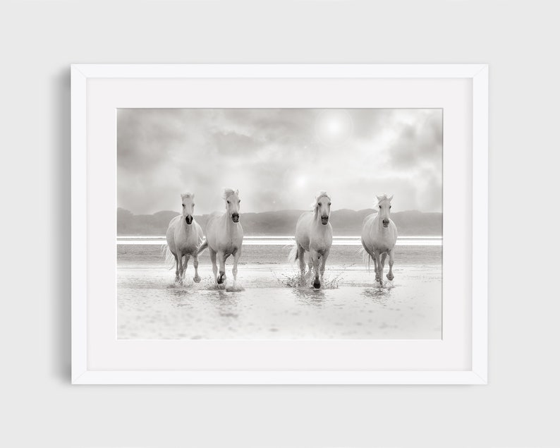 Wild Horse Photography Print White Horse Photography Camargue Horse wild-horse-photography-print-white-horse-photography-camargue-horse