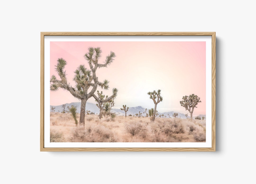 Fine Art Joshua Tree Photography Print, Desert Wall Art, Landscape ...