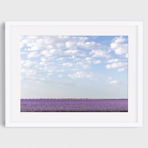 South of France, Lavender Field in Provence, Lavender Print, France, Lavender Wall Art, French Countryside, Provence, Travel Photo