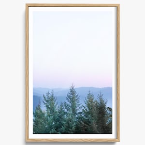 Sunset Over the Redwoods - Redwood Forest Photography – Northern California Print – Woodland Trees, Fine Art Photography, Cabin Home Decor