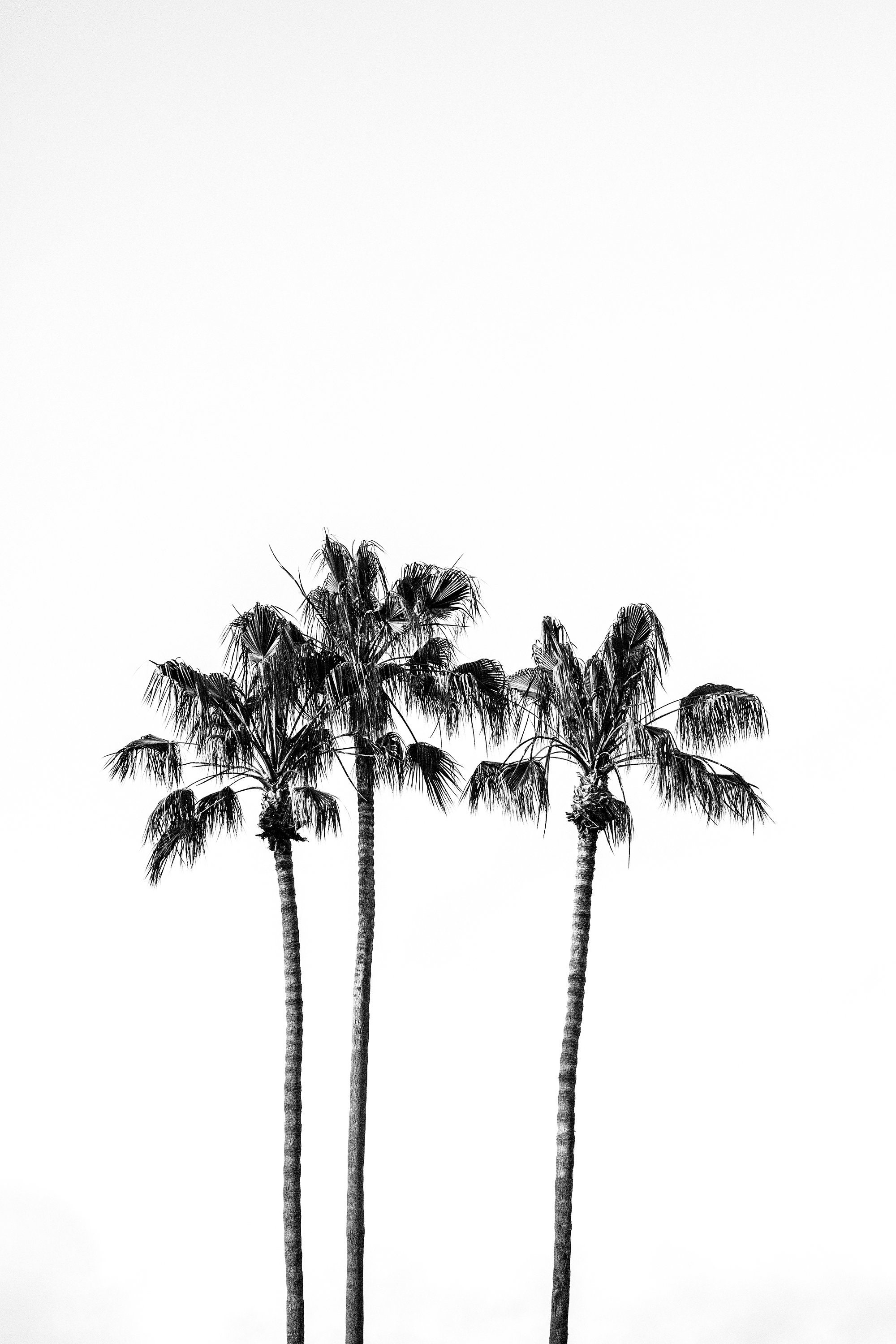 Craigslist California Palm Desert - ba6gpej