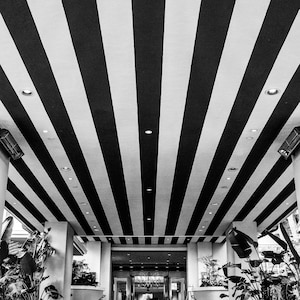 May include: Black and white striped ceiling with a large entranceway leading to a room with plants on either side.