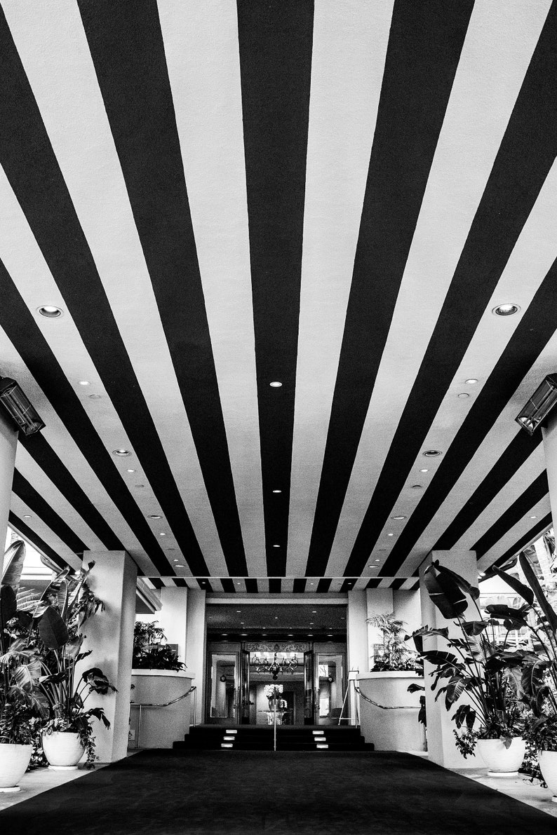 May include: Black and white striped ceiling with a large entranceway leading to a room with plants on either side.