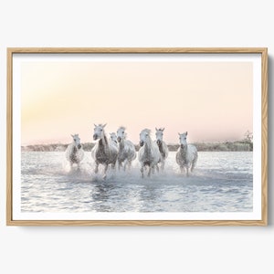 Fotografie van het wilde witte paard, paardafdruk, wild paard Camargue, witte paarden rennen in water, natuurfoto, decor paard, kunst aan de muur