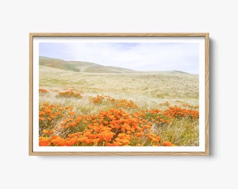 Fotografia de natureza de belas artes, foto Superbloom California, impressão de flores silvestres, decoração de parede Boho, flores de papoula selvagens da montanha, impressão de paisagem