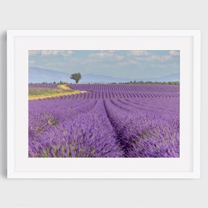 Lavendel veld in de Provence foto, lavendel print, Frankrijk, Provence kunst aan de muur, lavendel kunst aan de muur, Frans platteland, Provence, reizen foto afbeelding 1