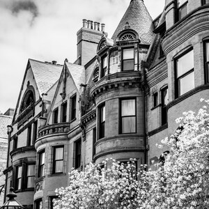 Puede incluir: Foto en blanco y negro de un edificio hist&oacute;rico con un techo puntiagudo y una fila de ventanas. El edificio est&aacute; rodeado de un &aacute;rbol con flores blancas.
