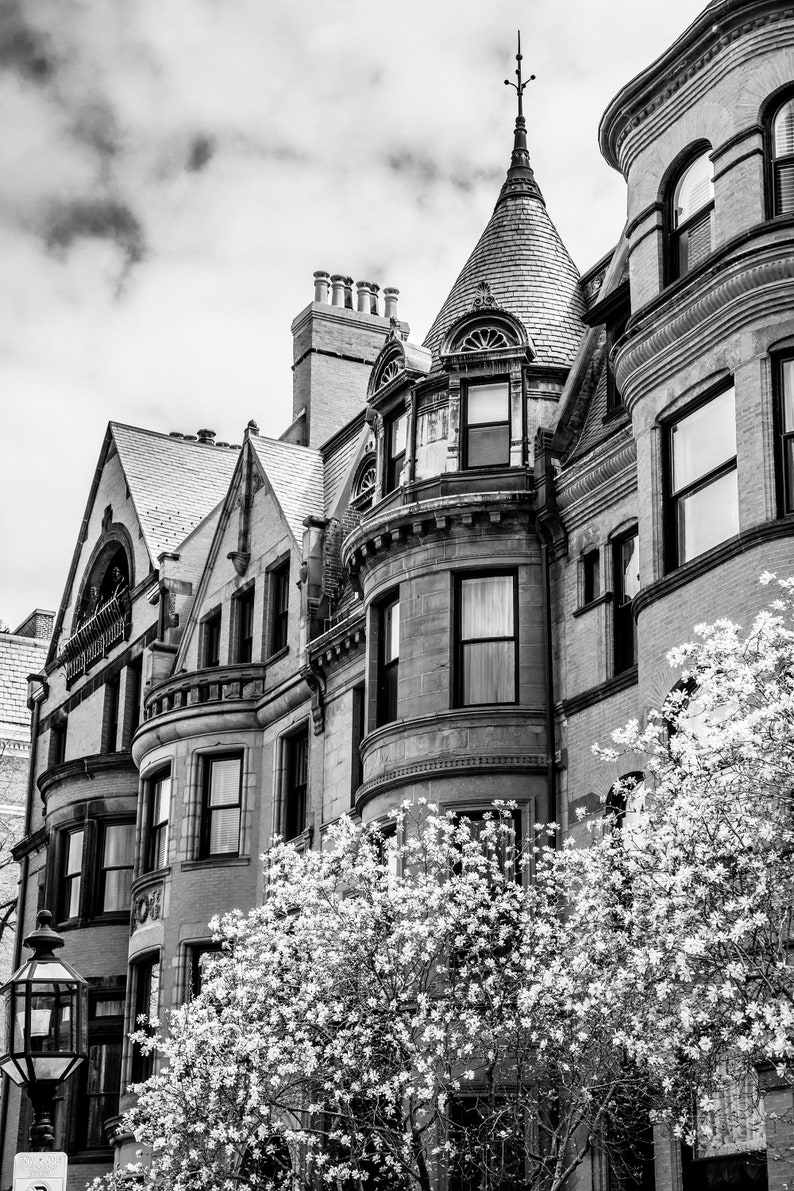Puede incluir: Foto en blanco y negro de un edificio hist&oacute;rico con un techo puntiagudo y una fila de ventanas. El edificio est&aacute; rodeado de un &aacute;rbol con flores blancas.